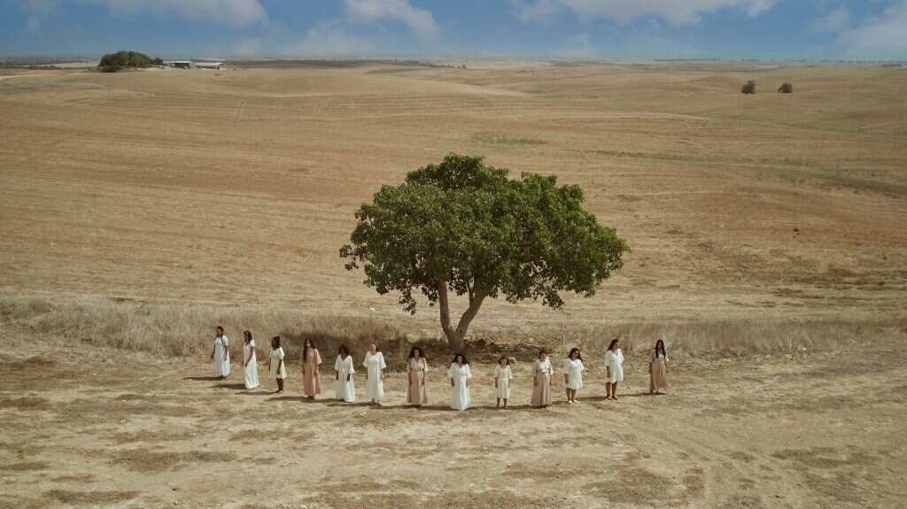 בתרונות רוחמה. מתוך התערוכה של שילת מזרחי. | שילת מזרחי