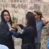 שוטרת מעכבת נוטל לולב בהר הבית, השבוע. | נתן צבי