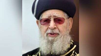 יואב ארי דודקביץ', פלאש 90