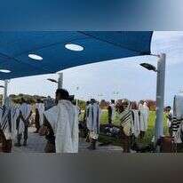 גילעד גולדברג