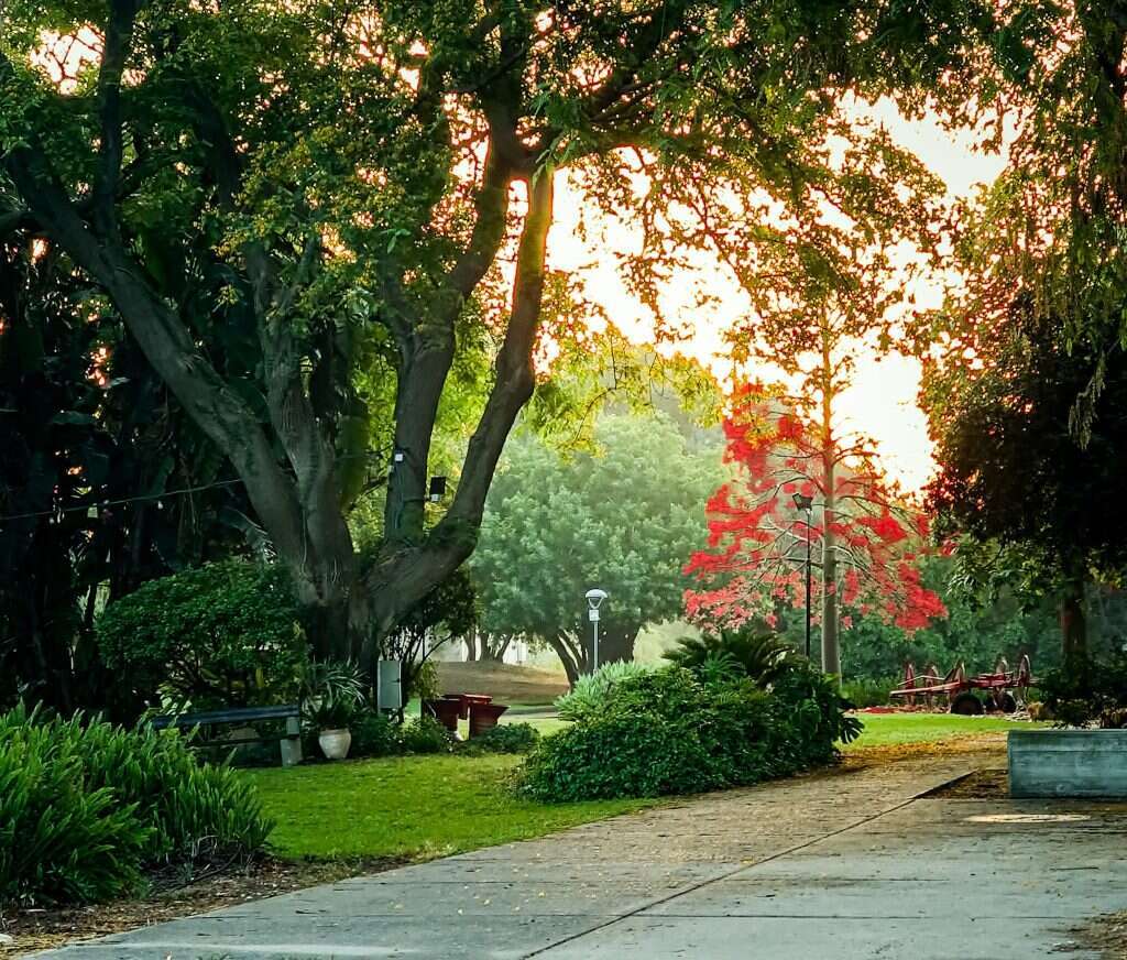 "הגוף שלם אבל הנפש מנופצת". קיבוץ עלומים. | סטיבי מרכוס