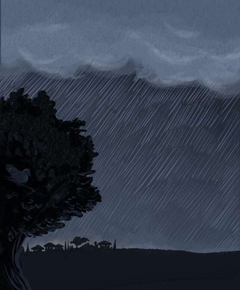 איור: נעמה להב איור: נעמה להב