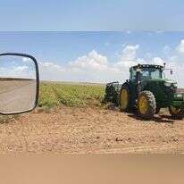 אנחנו זורעים כי יש בנו תקווה ואמונה. שדות הבוטנים בקיבוץ סעד. | איתן הימן