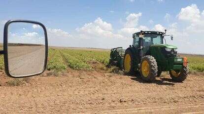 אנחנו זורעים כי יש בנו תקווה ואמונה. שדות הבוטנים בקיבוץ סעד. | איתן הימן