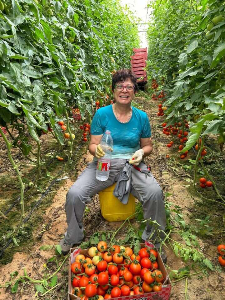 התנדבות בשדות. | השומר החדש