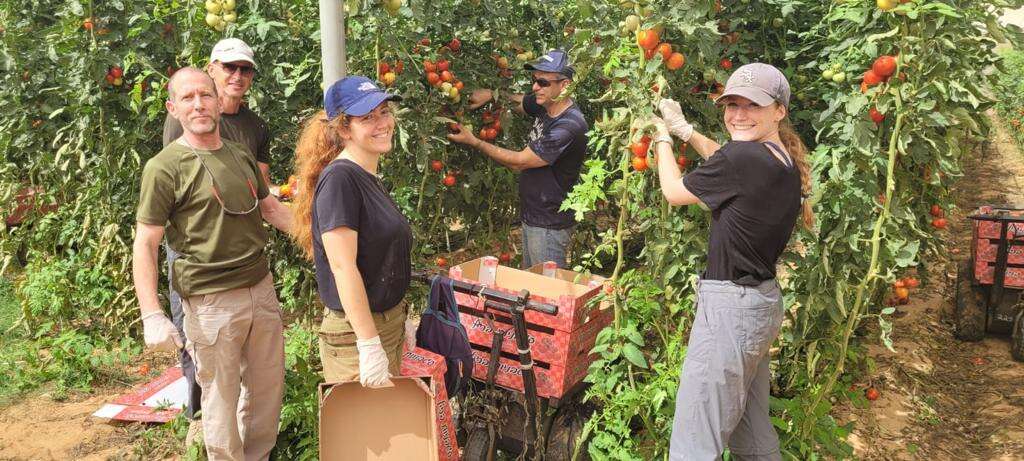 התנדבות בשדות. | השומר החדש