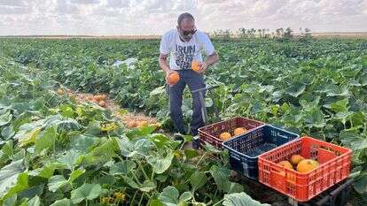 התנדבות בשדות. | השומר החדש