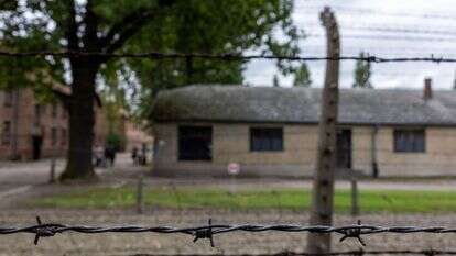 אושוויץ, | נתי שוחט, פלאש 90