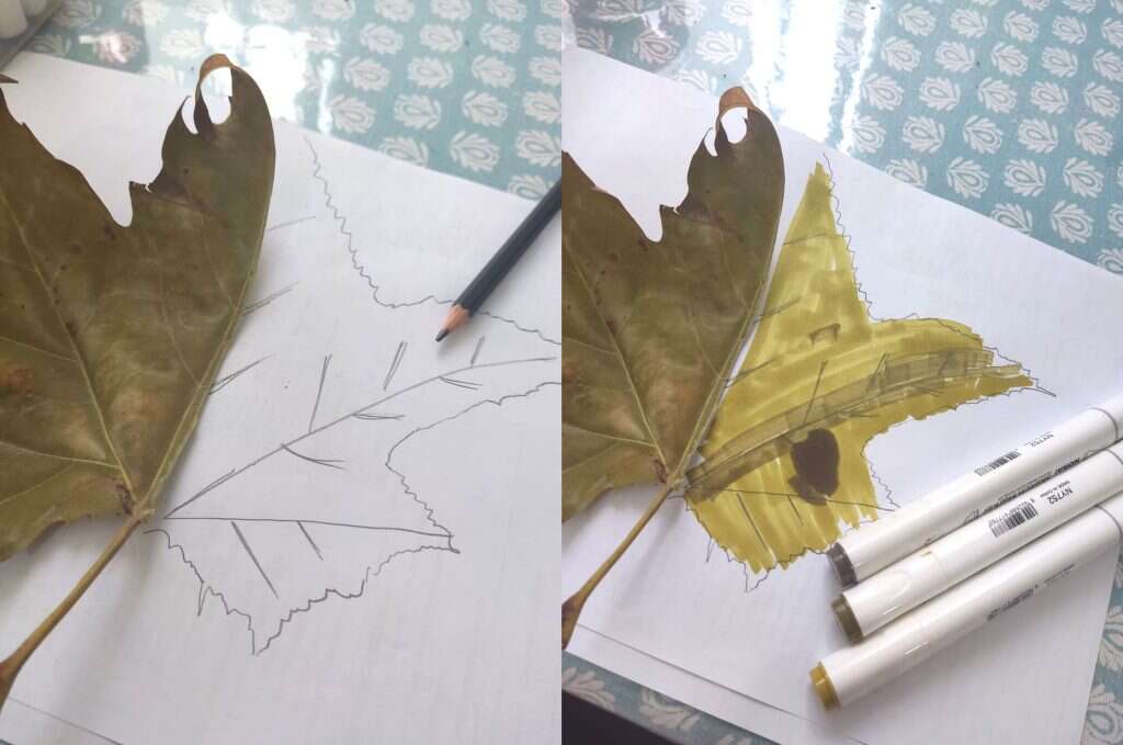 יצירה בעלי שלכת