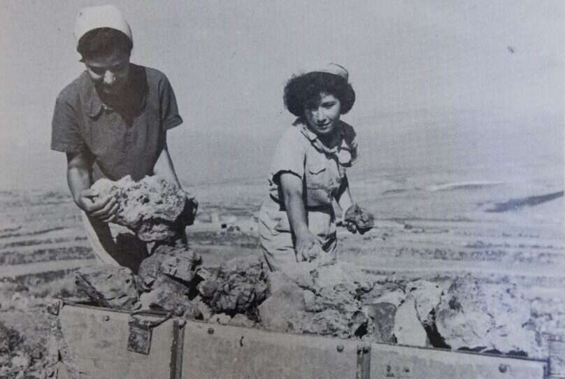 חברות בעין־צורים בעבודת סיקול אבנים והכשרת הקרקע