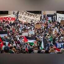 הרווארד. | איי.אף.פי