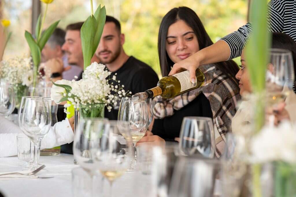 אופיר בוסקילה משק 70