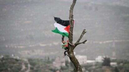 דגל פלסטין מונף בישראל. | נאסר אישתיה/פלאש90
