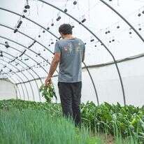 ה | באדיבות משק חביביאן