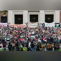 לפי הסקר שנערך בהרווארד 45% מהצעירים הודו שהם לא יודעים מספיק. הפגנה אנטי ישראלית באוניברסיטת הרווארד. | רויטרס