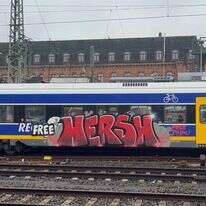 חברים מאירופה שמעו והתגייסו. הגרפיטי בגרמניה. | באדיבות המרואיין