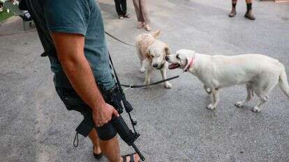 מוליך כלבים חמוש בתל-אביב. | חיים גולדברג/פלאש 90