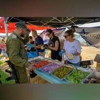 מאיר אליפור