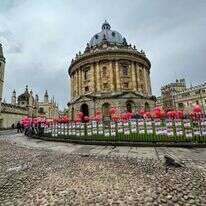 מיצג למען החטופים אונ אוקספורד. | יעל זיו