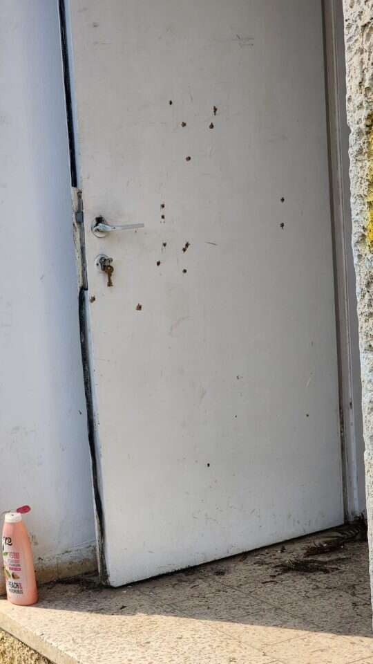 "אתה מבין שאדם הגן בגופו במשך שעות על הילדים שלו". דלת מנוקבת כדורים "אתה מבין שאדם הגן בגופו במשך שעות על הילדים שלו". דלת מנוקבת כדורים