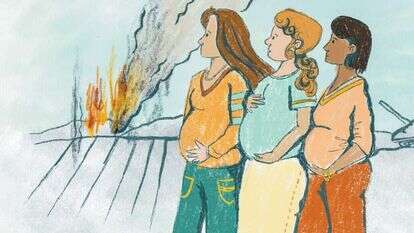 איור: דגנית רודובסקי איור: דגנית רודובסקי