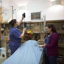 אחיות בבית החולים הדסה עין כרם. אילוסטרציה. | יונתן זינדל פלאש 90 אחיות בבית החולים הדסה עין כרם. אילוסטרציה. | יונתן זינדל פלאש 90