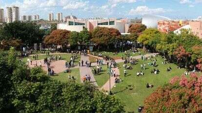 קמפוס מכללה. אילוסטרציה. | המכללה למינהל