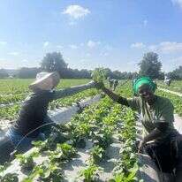 עובדים ביחד. | בתיה שמואלי