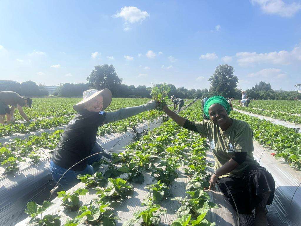 עובדים ביחד. | בתיה שמואלי
