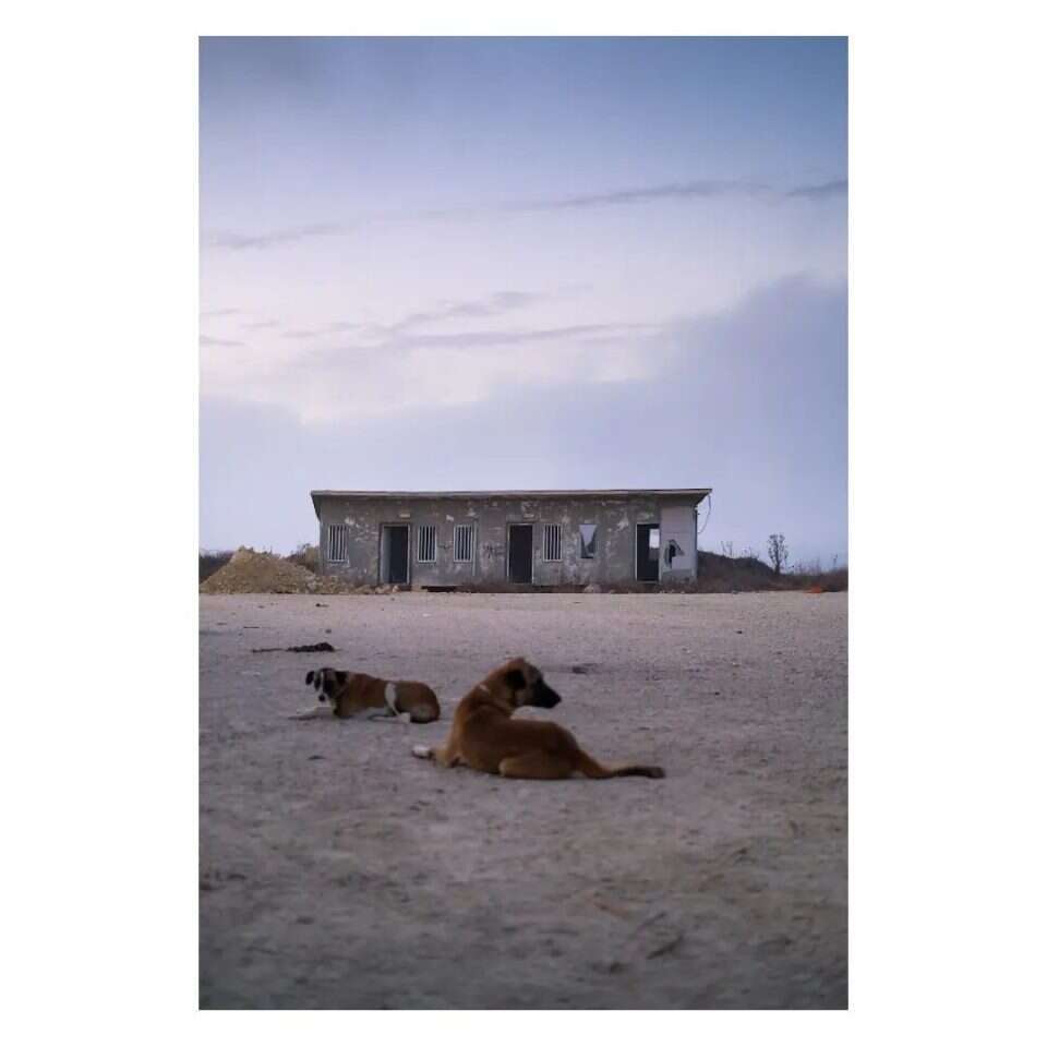 לביא ליפשיץ, מתוך חשבון האינסטגרם שלו