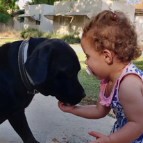 הכלבה בוניטה. | דוברות המשטרה