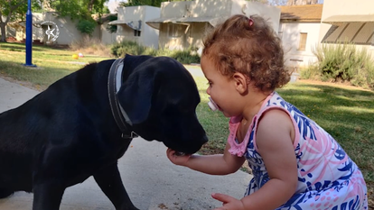 הכלבה בוניטה. | דוברות המשטרה