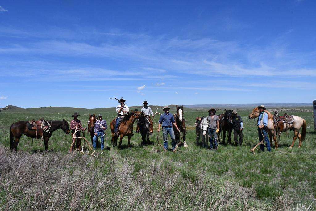 הקאובויז שבאו לישראל. | ארגון "היובל"