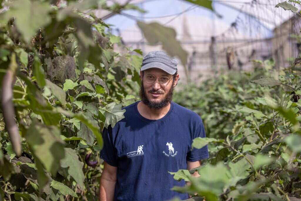 צוריאל אסף. | יוסי אלוני