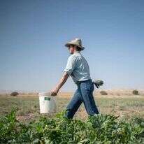 ג'ון פולצ'ר. | נעמה גרינבאום
