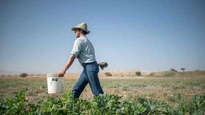 ג'ון פולצ'ר. | נעמה גרינבאום