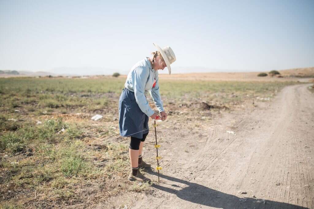 נעמה גרינבאום