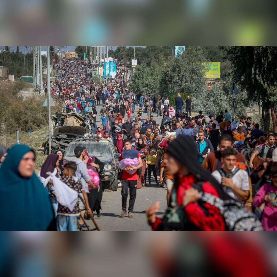 תושבי עזה יוצאים מאזור הלחימה בצפון רצועת עזה, ארכיון. | עטיה מוחמד, פלאש 90 תושבי עזה יוצאים מאזור הלחימה בצפון רצועת עזה, ארכיון. | עטיה מוחמד, פלאש 90