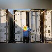 מחנה שורה. | איי.אף.פי