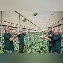 נעמה גרינבאום