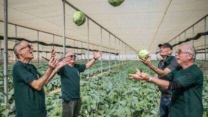 נעמה גרינבאום