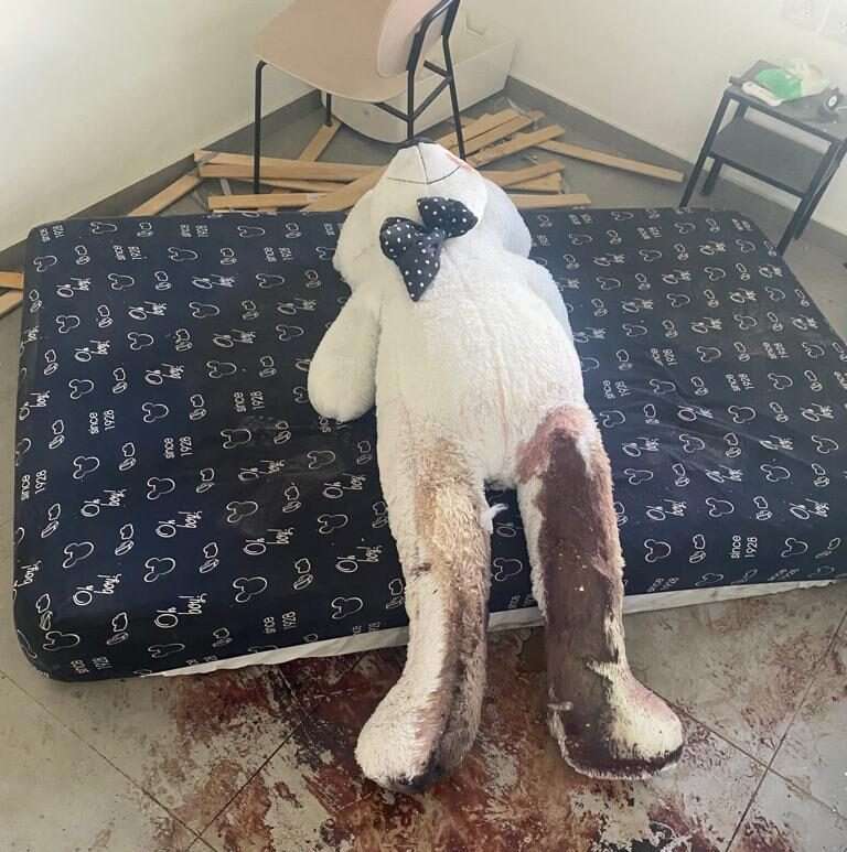 הדובי שעל שמו נקרא הפרויקט