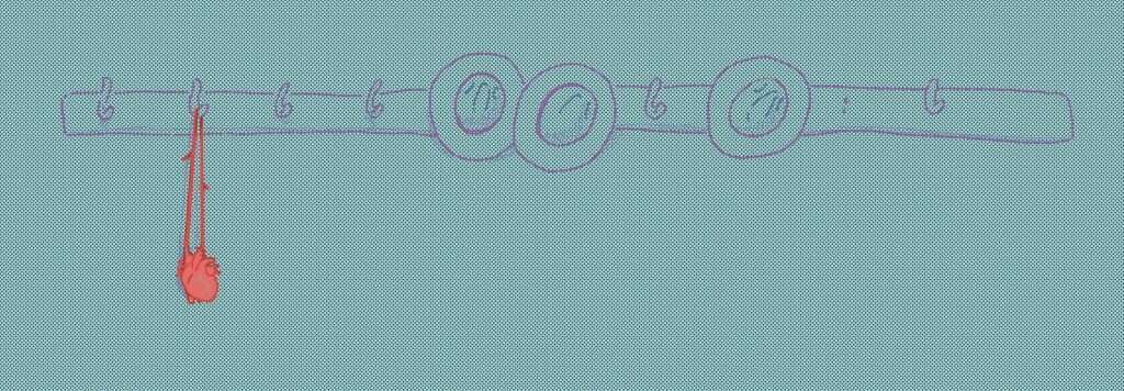 איור: אבימי