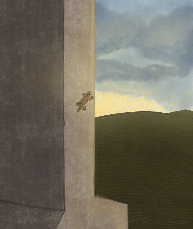 איור: שרון ארדיטי