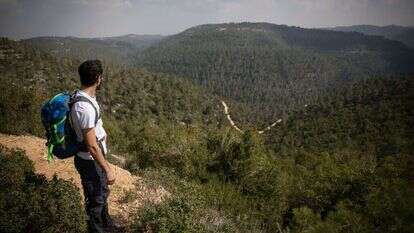 טיול בשביל הר הטייסים. | הדס פרוש/פלאש90