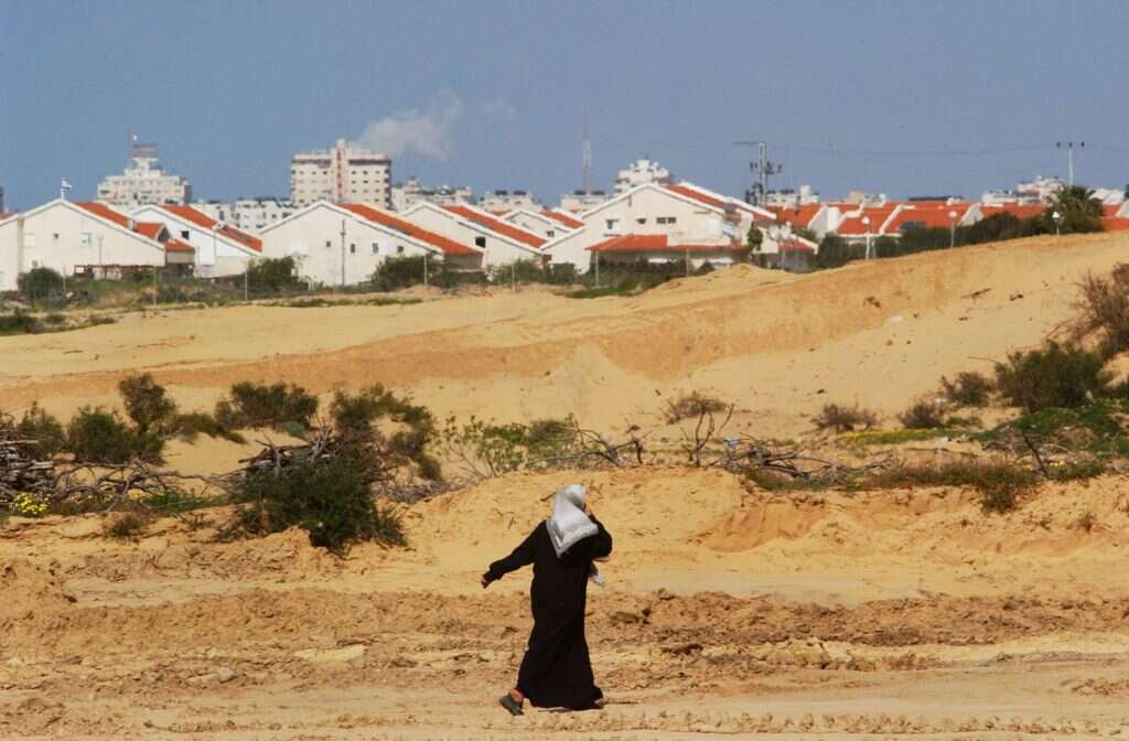 שרון פרי - פלאש 90