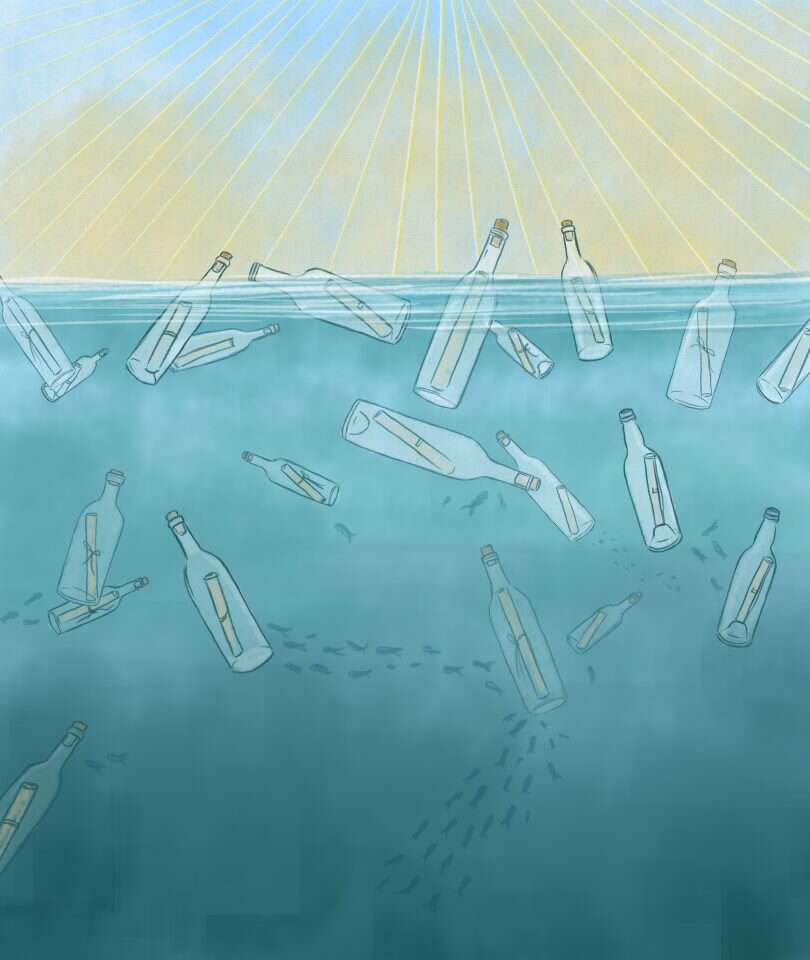 איור: שרון ארדיטי