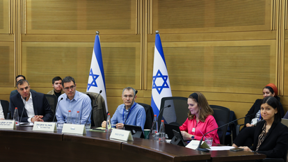 ועדת הבריאות. | נועה מושקוביץ, דוברות הכנסת ועדת הבריאות. | נועה מושקוביץ, דוברות הכנסת