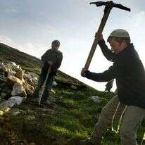 בני נוער חופרים בורות לנטיעת עצים. | אוליבייה פיטוסי, פלאש 90