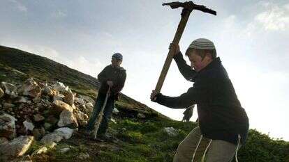בני נוער חופרים בורות לנטיעת עצים. | אוליבייה פיטוסי, פלאש 90